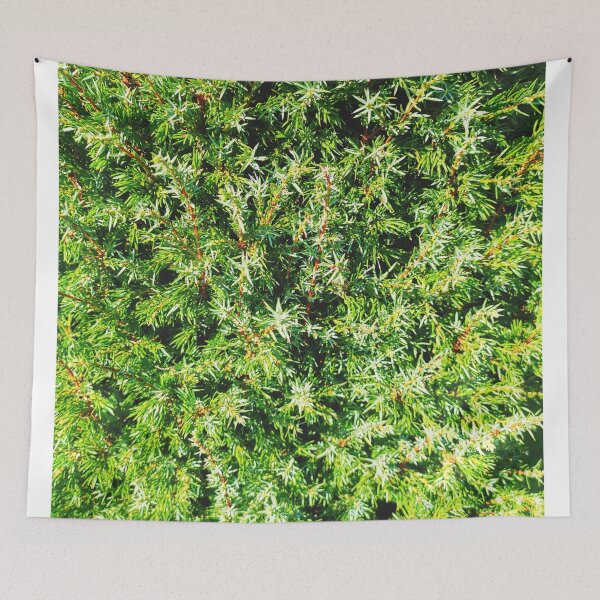 Item preview, fir bushes designed and sold by OMdesigns93.