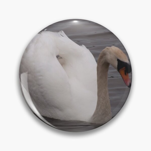 Item preview, Stackpole Swan (Deceased) designed and sold by JlocksJedi.