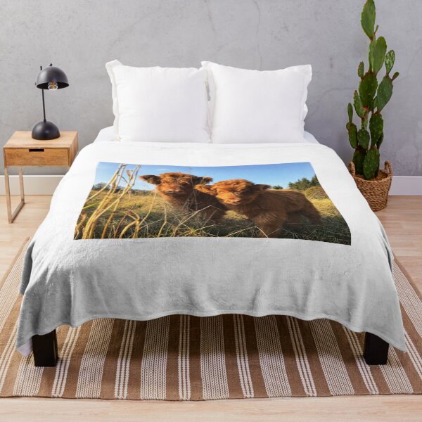 Item preview, Scottish Highland Cattle Calves 1988 designed and sold by SaarelaHighland.
