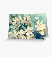 Cherry blossom Greeting Card