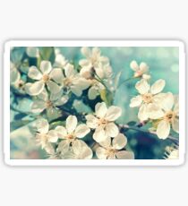 Cherry blossom Sticker