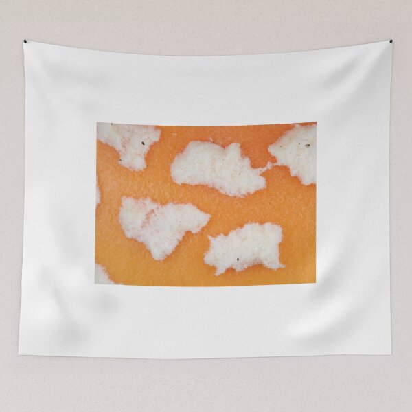 Item preview, Macro photo of Amanita mushroom "dots" designed and sold by SDym Photography.