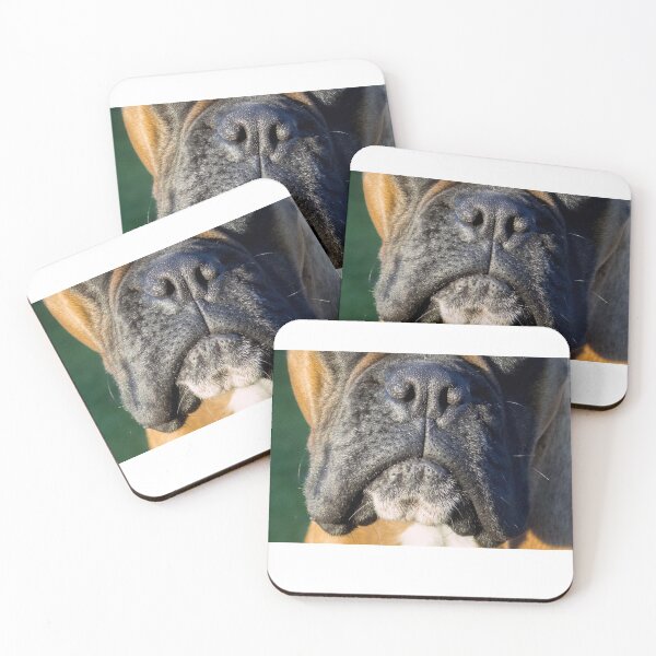 Item preview, Dogface Boxer designed and sold by AutumnVibeShop.