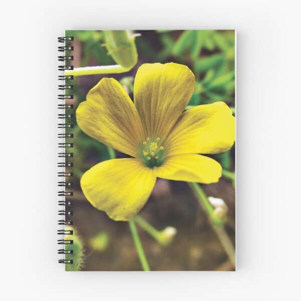 Item preview, Yellow Mello designed and sold by KensLensDesigns.