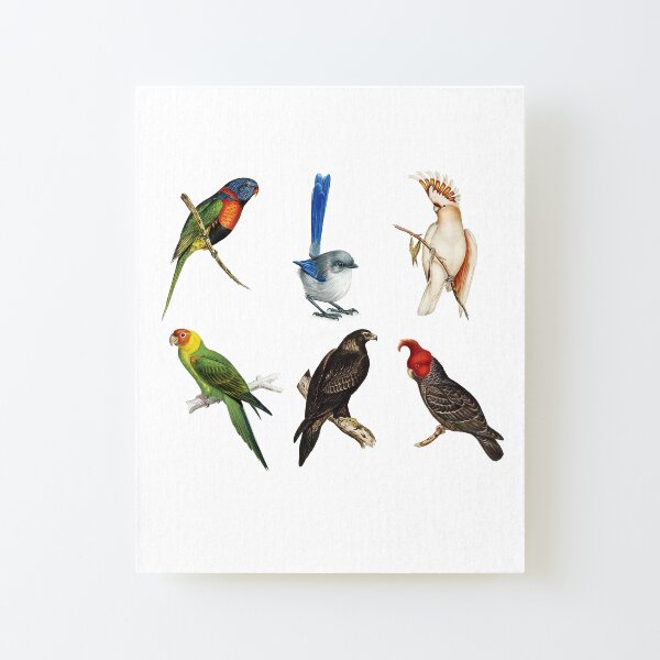 Australian Birds Canvas Mounted Print