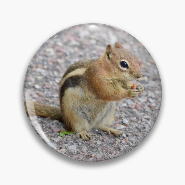 Artikelvorschau, Netter Snacking Chipmunk entworfen und verkauft von richardbryce.