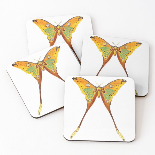 Item preview, Luna moth designed and sold by Photopicture.