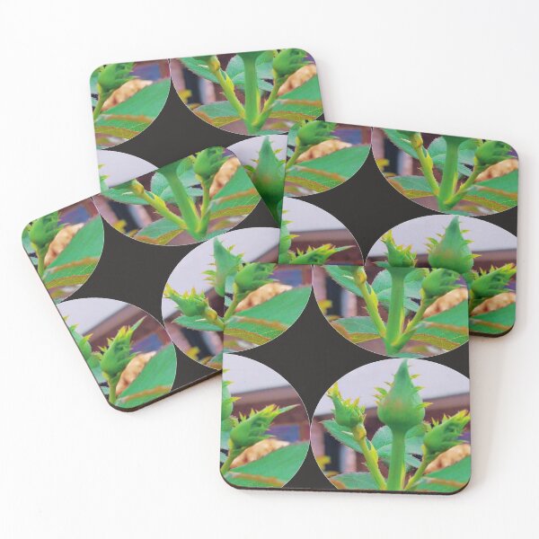 Item preview, Funny assorted-colored roses, green flowers, classic t-chirts designed and sold by Dahani-mo.
