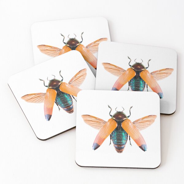 Item preview, Jewel Beetle (Metaxymorphia apicalis), spread designed and sold by Tim Christensen.