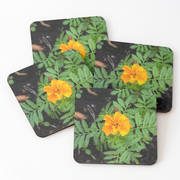 Item preview, Orange flower.  designed and sold by CaileeJo.
