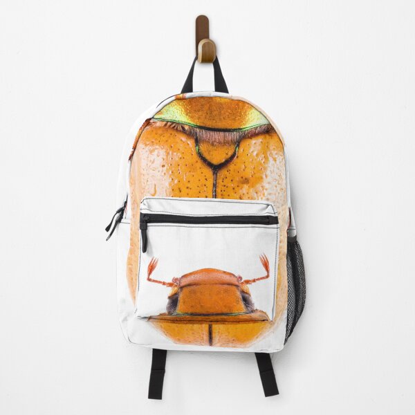 Item preview, Goldsmith beetle (Cotalpa lanigera) designed and sold by Tim Christensen.