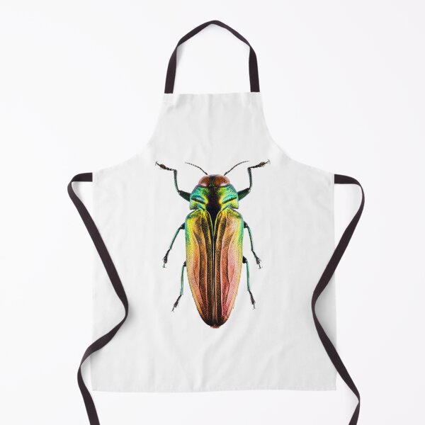 Item preview, Tricolor Metallic Jewel Beetle (Belionota sumptuosa) designed and sold by Tim Christensen.