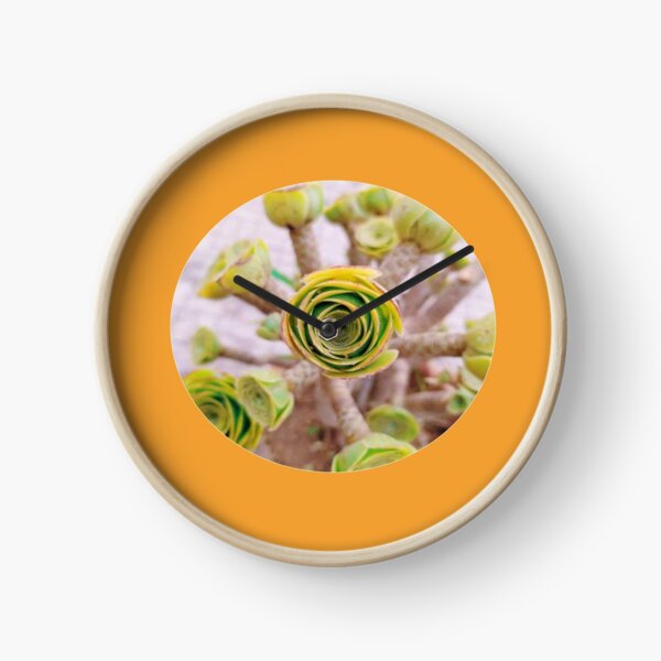 Item preview,  FUNNY FLORAL PATTERN BOUSTANICAL BY COLOR  designed and sold by Dahani-mo.