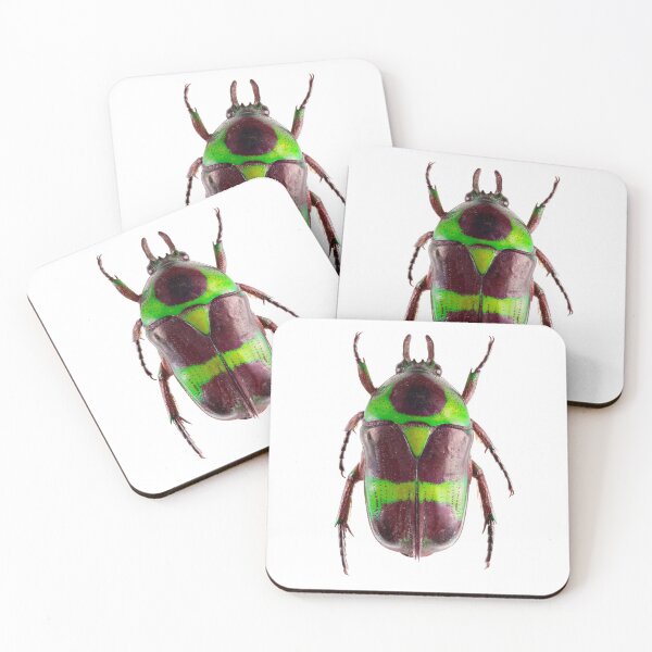Item preview, Scarab beetle (Mystroceros rouyeri cetoniinae) designed and sold by Tim Christensen.