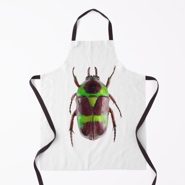 Item preview, Scarab beetle (Mystroceros rouyeri cetoniinae) designed and sold by Tim Christensen.