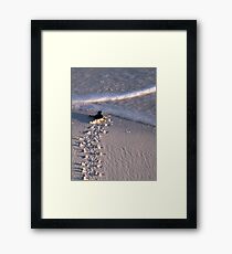 Survival Framed Print