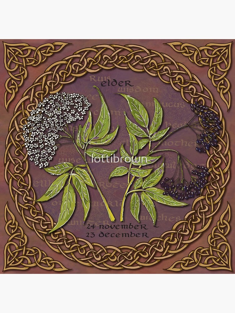 Celtic Tree Calendar Elder by lottibrown