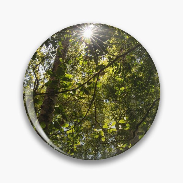 Item preview, Kauri Forests of New Zealand designed and sold by Daniel Waldron.