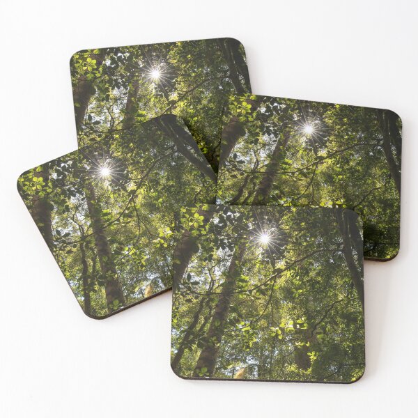 Item preview, Kauri Forests of New Zealand designed and sold by Daniel Waldron.