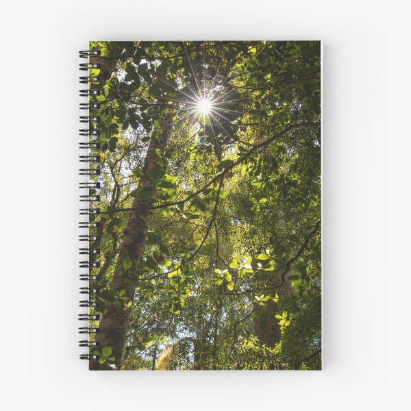 Item preview, Kauri Forests of New Zealand designed and sold by Daniel Waldron.
