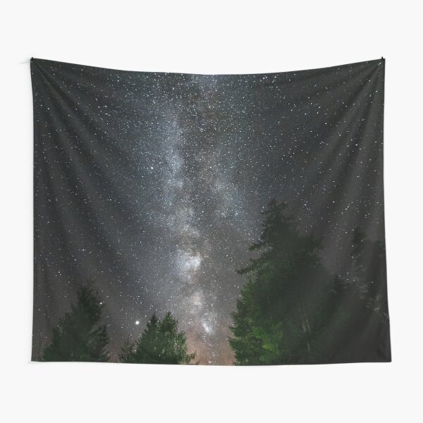 Milky way above spruce forest Tapestry