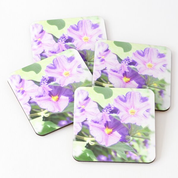 Item preview, Violet flowers designed and sold by Magileo.