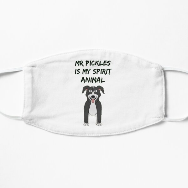 mr pickles merchandise