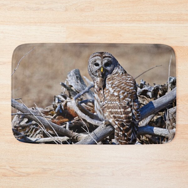 Item preview, Barred Owl designed and sold by Owl-Images.