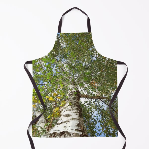 Item preview, Birch Tree, going up the tree photography designed and sold by EllianhPi.