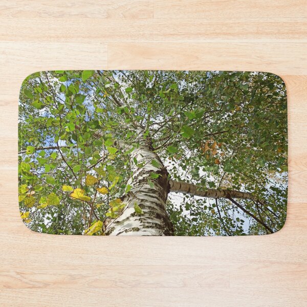 Item preview, Birch Tree, going up the tree photography designed and sold by EllianhPi.