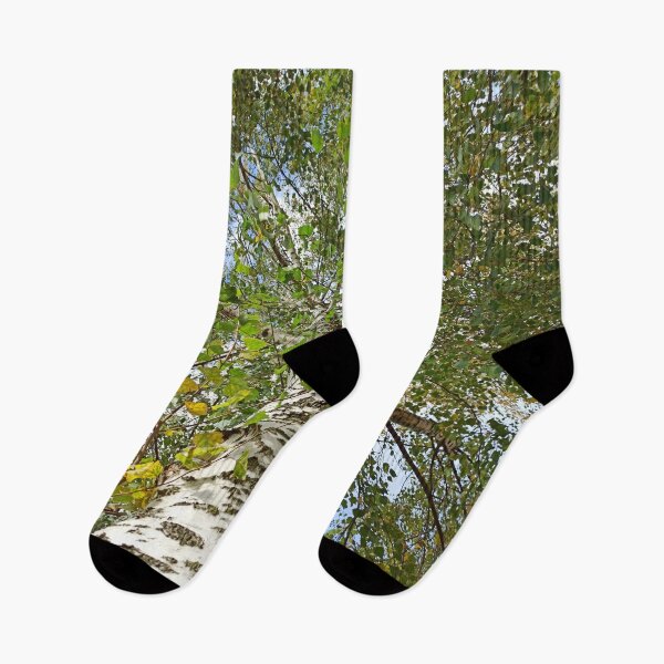 Item preview, Birch Tree, going up the tree photography designed and sold by EllianhPi.