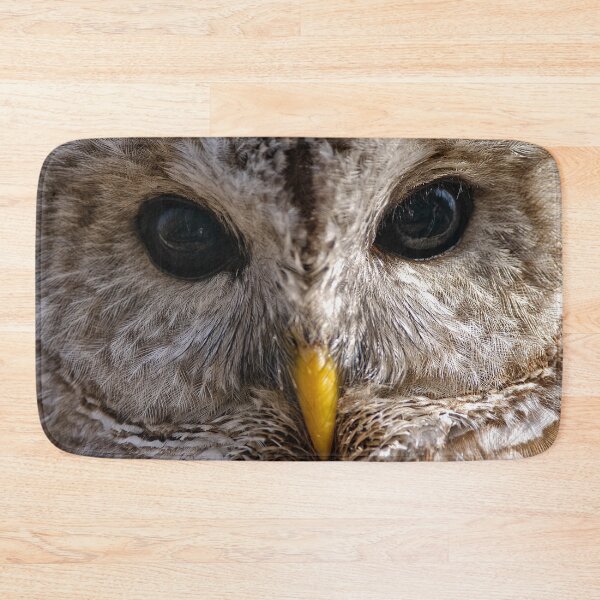 Aperçu de l'œuvre Barred Owl créée et vendue par Owl-Images.