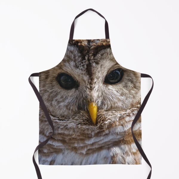 Item preview, Barred Owl designed and sold by Owl-Images.