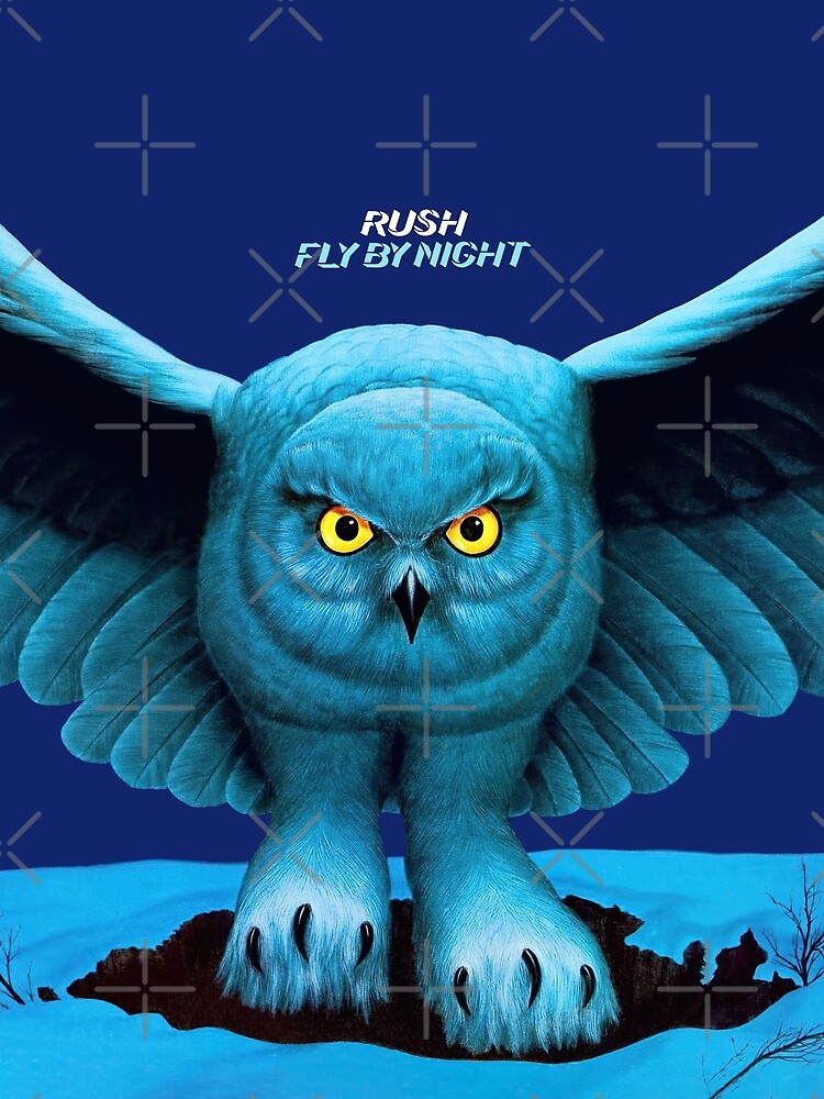 Fly by Night (HQ) by MonkeyBusyness1