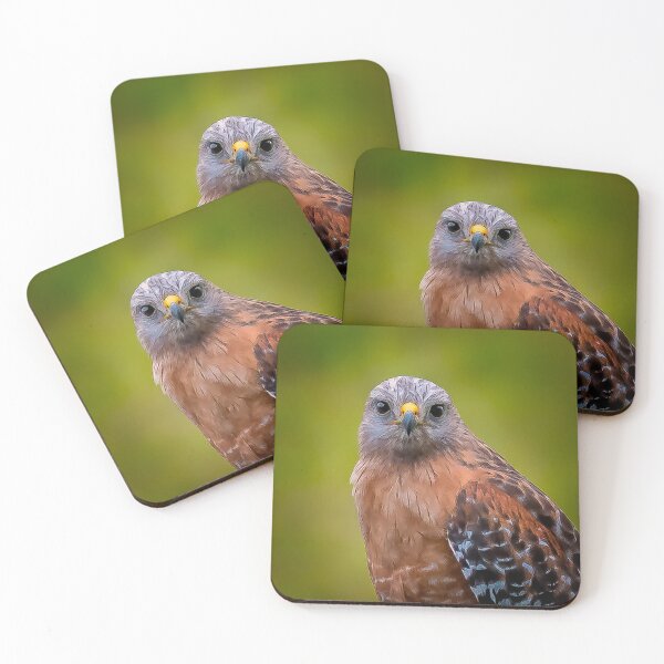 Item preview, Hawk eyes! designed and sold by oliviasphotos.