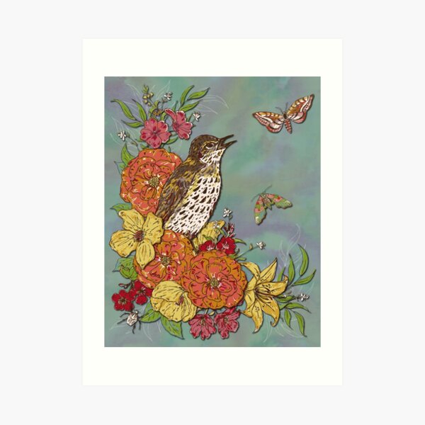Vintage Song Thrush Art Print