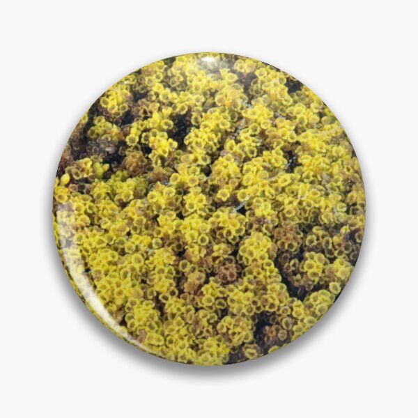 Item preview, Yarrow designed and sold by Philip Butler.