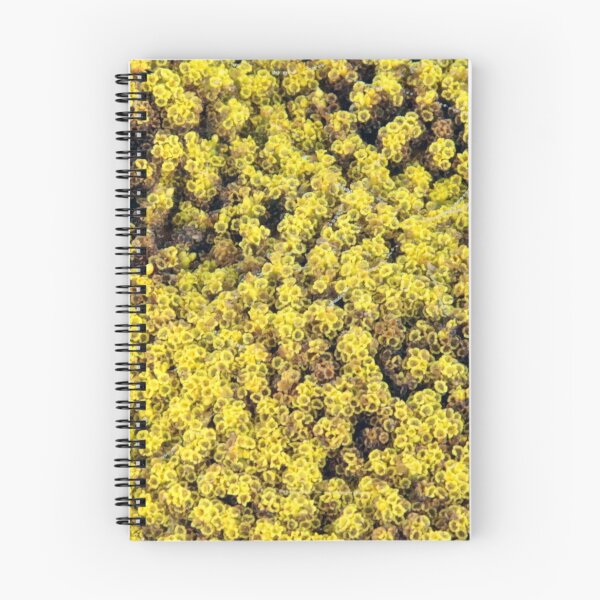 Item preview, Yarrow designed and sold by Philip Butler.
