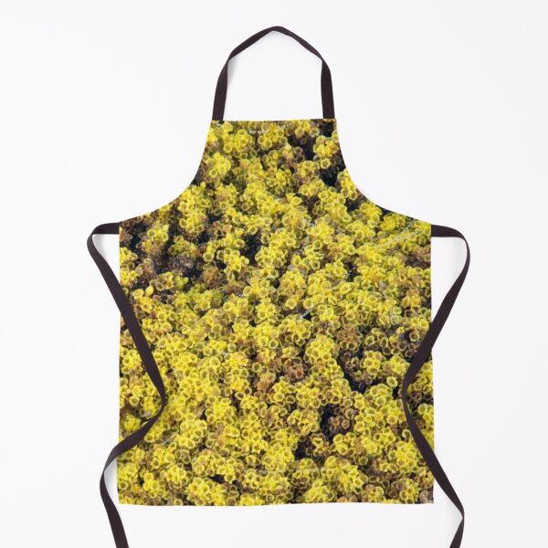 Item preview, Yarrow designed and sold by Philip Butler.