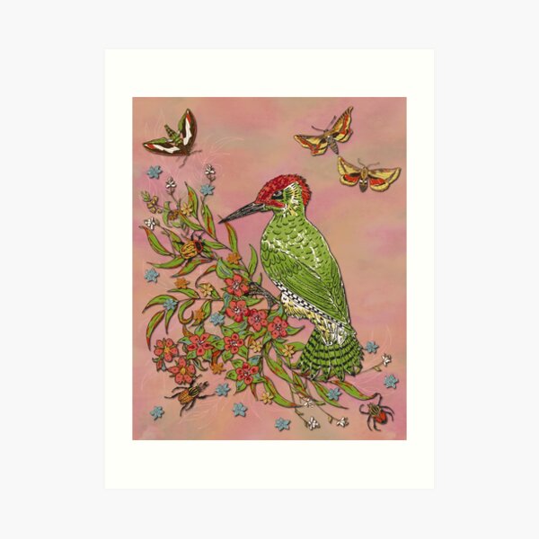 Vintage Woodpecker Art Print