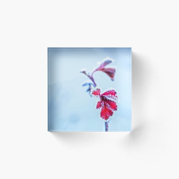 Frosty Red Leaves Acrylic Block