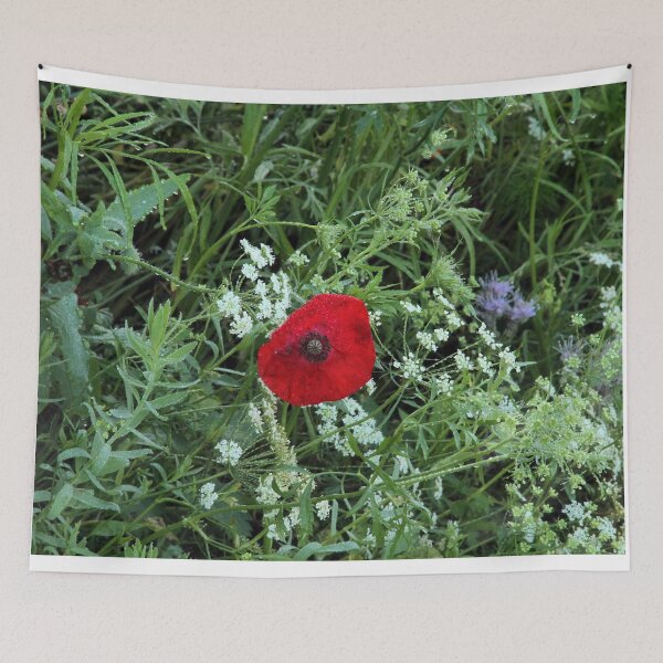 Item preview, Poppy, Papaver  designed and sold by Philip Butler.