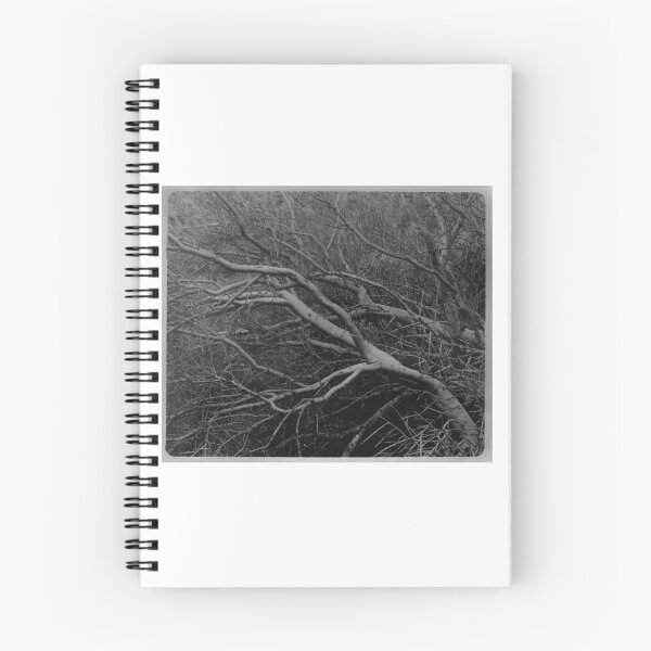 Item preview, Desert Palo Verde  designed and sold by Elena Ray.