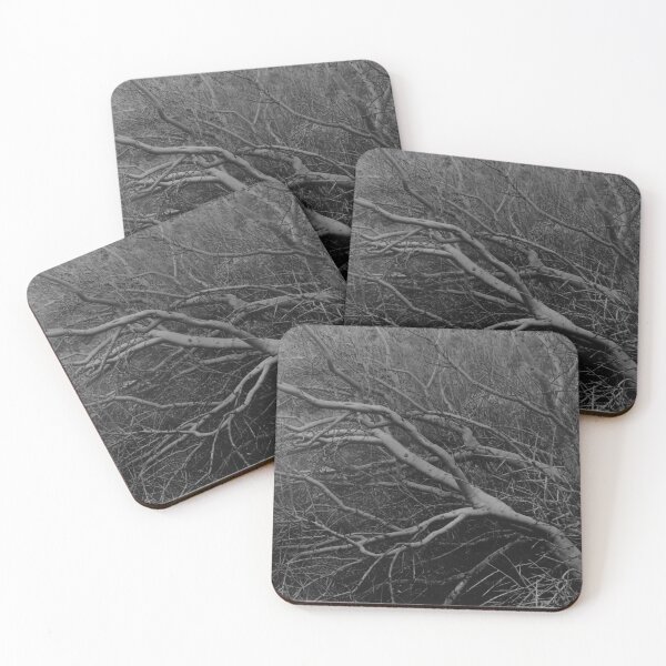 Item preview, Desert Palo Verde  designed and sold by Elena Ray.