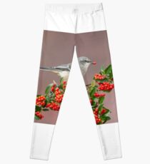 Northern Mockingbird and berries Leggings