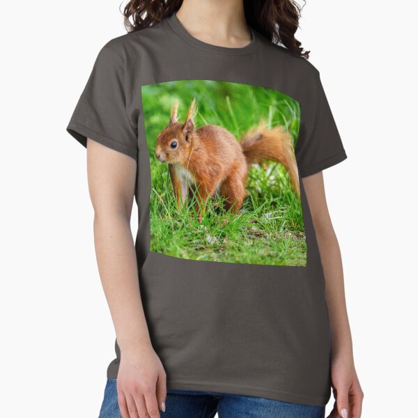 Item preview, Inquisitive Red squirrel designed and sold by OwlOccasions.