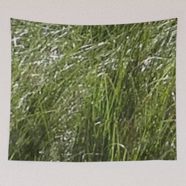 Item preview, Australian native grass designed and sold by JellyBeenzz.