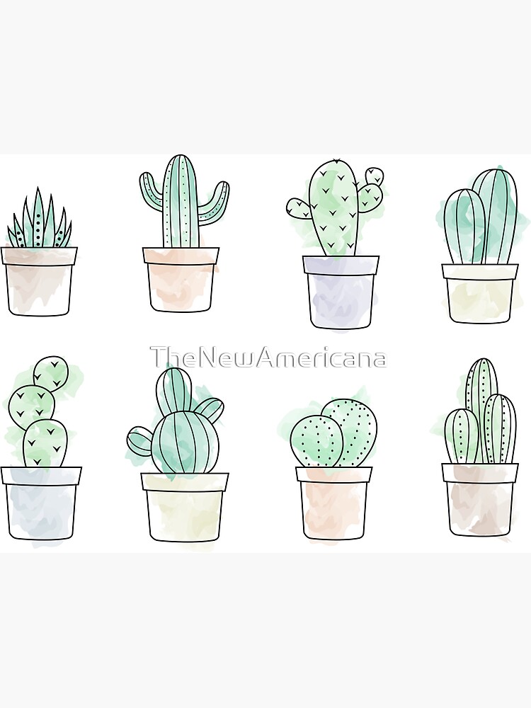 watercolor cacti by TheNewAmericana