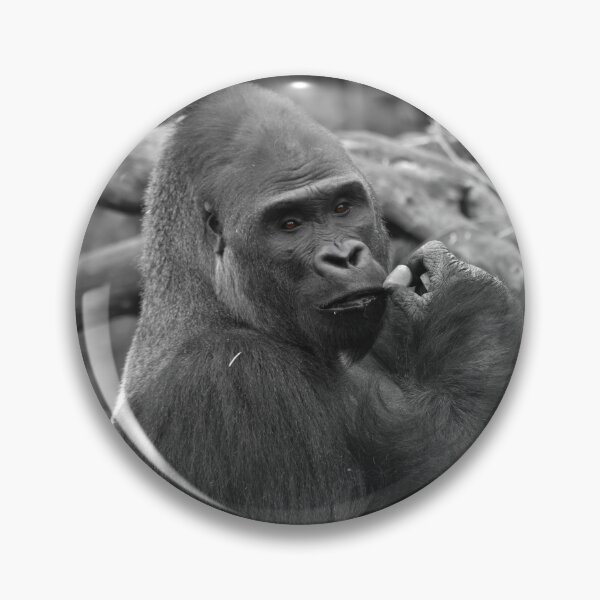 Item preview, gorilla designed and sold by gorilla-girl-97.