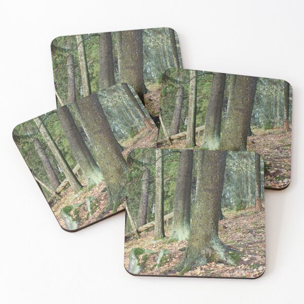 Item preview, Old Spruces by the lake. Pyhajarvi fall. designed and sold by Jouko Lehto Photography.
